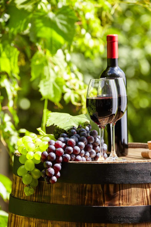 still life with red wine on garden terrace still life with red wine on garden terrace